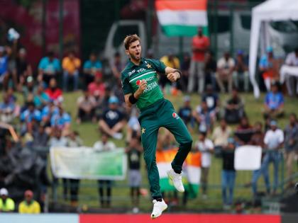 ICC Men's Player Of The Month Award: Shaheen Afridi, Gerhard Erasmus and Mohammad Wasim shortlisted for the award | ICC Men's Player Of The Month Award: शाहीन अफरीदी, गेरहार्ड इरास्मस और मोहम्मद वसीम हुए अवॉर्ड के लिए शॉर्टलिस्ट