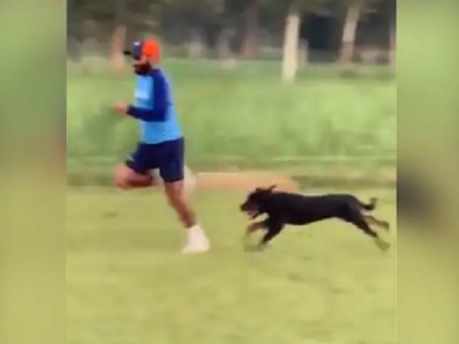 Mohammed Shami shares video of him Sprinting Alongside His Pet Dog | मोहम्मद शमी ने स्पीड सुधारने के लिए अपने कुत्ते के साथ लगाई रेस, वीडियो हुआ वायरल
