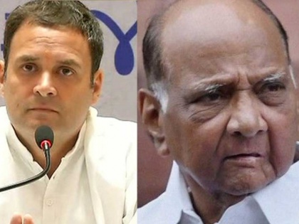 rahul gandhi sarad pawar discussed seat sharing for ls polls but ncp will mp alone | राहुल-शरद पवार ने लोकसभा की सीटों के बंटवारे पर की चर्चा, MP में एक-दूसरे के खिलाफ लड़ेंगे चुनाव