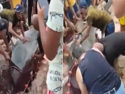 Shark Attack in Egypt: people catch tiger Shark that killed Russian Man to Death in Red Sea, watch video | मिस्र से आया दिल दहलाने वाला वीडियो, लाल सागर में रूसी शख्स को विशाल शार्क मछली ने मार डाला...स्थानीय लोगों ने पकड़ा