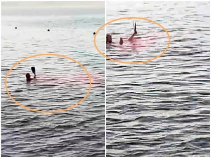 2 Women Killed In Shark Attack While Swimming In Egypt's Red Sea | मिस्र में दो महिलाओं को तैरते समय शार्क ने काट खाया, घटना की तस्वीरें सामने आईं