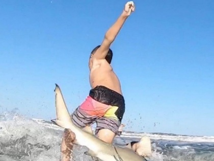 Shark attack 7-Year-Old Florida Boy Off His Surfboard in Shocking video goes viral | समुद्र में सर्फिंग कर रहा था 7 साल का बच्चा, अचानक नीचे आई शार्क, वायरल वीडियो में देखें उसके बाद क्या हुआ