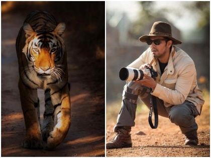 randeep hooda shared 6 tigers walking together video viral | रणदीप हुड्डा ने साझा किया साथ चलते 6 बाघों का वीडियो, लिखा- छप्पर फाड़ के, IFS अधिकारी ने बताया अद्भुत