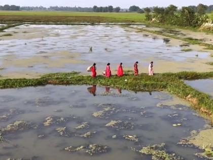 Shendursani Gram Panchayat population 1300 birth-death certificates 27,398 Irregularities in CRS software records, SIT formed Maharashtra Village | शेंदुरसनी ग्राम पंचायत की आबादी 1300 और 3 माह में जन्म-मृत्यु प्रमाणपत्र बने 27,398?, सीआरएस सॉफ्टवेयर रिकॉर्ड में अनियमितता, एसआईटी का गठन Shendursani Gram Panchayat population 1300 birth-death certificates 27,398 Irregularities in CRS software records, SIT formed Maharashtra Village | शेंदुरसनी ग्राम पंचायत की आबादी 1300 और 3 माह में जन्म-मृत्यु प्रमाणपत्र बने 27,398?, सीआरएस सॉफ्टवेयर रिकॉर्ड में अनियमितता, एसआईटी का गठन