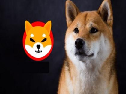 Crypto Shiba Inu Coin SHIB Jumps 45 percent In last 24 | Shiba Inu Coin: 24 घंटे में इस क्रिप्टोकरेंसी में आया 45 प्रतिशत का उछाल, जानिए क्या है वजह
