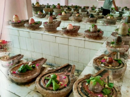 Paryagraj Shiv Kachahari mandir 285 Shivalingas present in this temple where Lord Shiva sits as judge | Magh Mela: यहां लगती है भोलेनाथ की अदालत, मंदिर में मौजूद हैं 285 शिवलिंग! माफी मांगने के लिए उठक-बैठक लगाते हैं भक्त