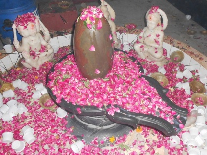 Hariyali Amavasya 2019 date, shubh muhurat, time, importance and puja vidhi | Hariyali Amavasya 2019: आज है श्रावण अमावस्या, जानें सावन में हरियाली अमावस का महत्व और पूजा की विधि
