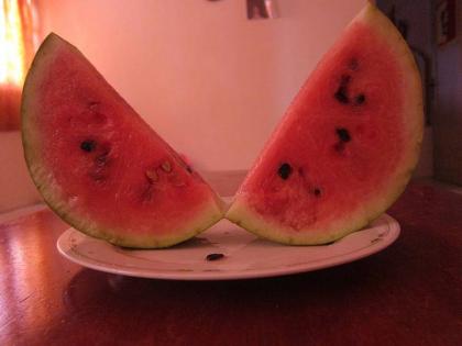 Should we drink water or milk after eating watermelon know advantages disadvantages what experts say | क्या तरबूज खाने के बाद पानी या दूध पीना चाहिए, जानें फायदे-नुकसान और इस पर क्या कहते है एक्सपर्ट्स