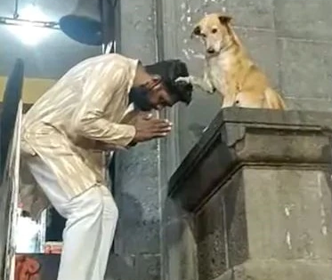 Video: Video of dog shaking hands and blessing devotees outside Siddhivinayak temple viral | Video: सिद्धिविनायक मंदिर के बाहर भक्तों से हाथ मिलाते और आशीर्वाद देते कुत्ते का वीडियो वायरल