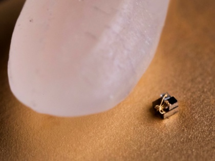 Unbelievable News!  World's smallest computer created, it's even smaller than a grain of rice | चावल के दाने से भी छोटा है ये कंप्यूटर, कैंसर जैसे बड़े रोगों का पता लगाने में करेगा मदद