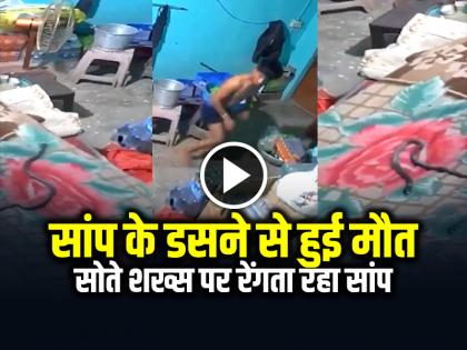 Snake Bite Dies Sleeping Man watch the video | VIDEO: सोते युवक के ऊपर रेंगता रहा सांप, डसने से हुई मौत, देखें वायरल वीडियो Snake Bite Dies Sleeping Man watch the video | VIDEO: सोते युवक के ऊपर रेंगता रहा सांप, डसने से हुई मौत, देखें वायरल वीडियो