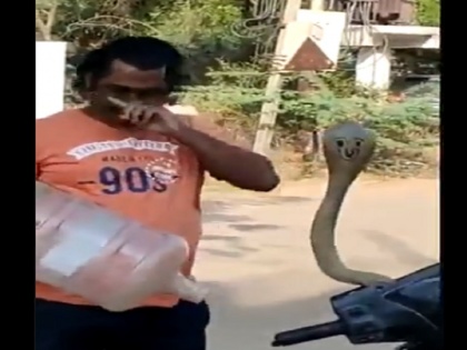 Snake from scooter caught by man using container watch viral video | Viral Video: स्कूटर से अचानक निकला कोबरा सांप, शख्स ने फिर इस गजब तरीके से उसे पकड़ा