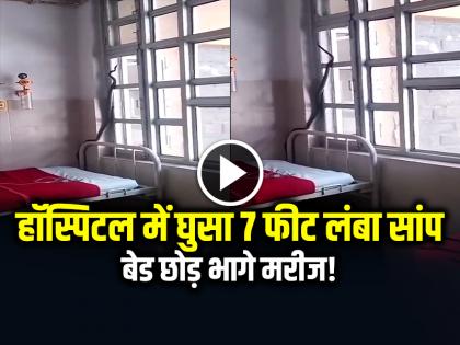 Snake Entered Hospital, Patients ran away Watch the viral video | VIRAL: हॉस्पिटल में घुसा 7 फीट लंबा सांप, बेड छोड़ भागे मरीज!, देखें वायरल वीडियो