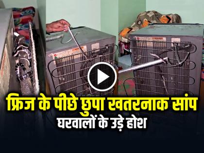 Snake Found Behind Fridge Family Shocked Video Goes Viral | VIDEO: फ्रिज के पीछे छुपा खतरनाक सांप, घरवालों के उड़े होश, देखें वायरल वीडियो