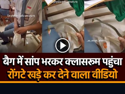 Snake in Classroom Student Reached with Dangerous snakes in his bag Watch Video | VIDEO: बैग में सांप भरकर क्लासरूम पहुंचा छात्र, रोंगटे खड़े कर देने वाला वीडियो वायरल