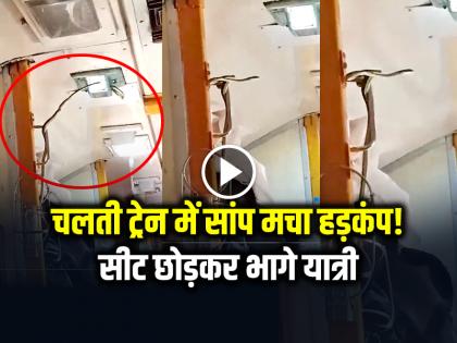 Snake in Garib Rath Train Coach Video Goes Viral on Social Media | VIDEO: चलती ट्रेन में सांप मचा हड़कंप!, सीट छोड़कर भागे यात्री, देखें वायरल वीडियो Snake in Garib Rath Train Coach Video Goes Viral on Social Media | VIDEO: चलती ट्रेन में सांप मचा हड़कंप!, सीट छोड़कर भागे यात्री, देखें वायरल वीडियो