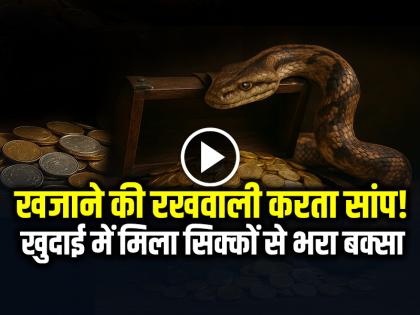 Snake Protected Treasure Box full of gold and silver coins, watch the viral video | VIDEO: खजाने की रखवाली करता सांप!, खुदाई में मिला सिक्कों से भरा बक्सा, देखें वायरल वीडियो Snake Protected Treasure Box full of gold and silver coins, watch the viral video | VIDEO: खजाने की रखवाली करता सांप!, खुदाई में मिला सिक्कों से भरा बक्सा, देखें वायरल वीडियो