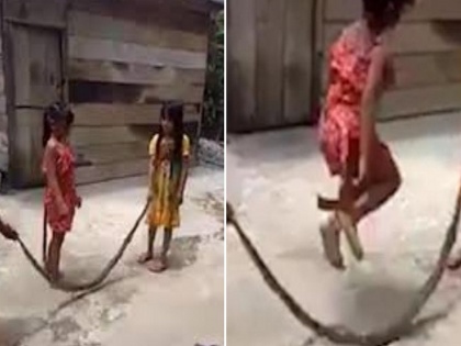 Girls are Skipping on a dead snake by rope Scary video goes viral | मरे हुए सांप को रस्सी बनाकर कूद रहीं है बच्चियां, वायरल वीडियो को देख हर कोई हैरान 