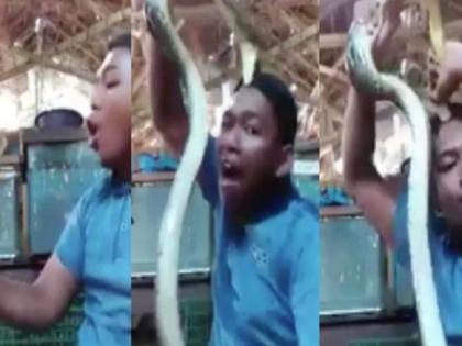 Viral video shows a snake attacking a man after he annoyed it for several minutes | सांप के साथ खेल रहा था लड़का, लेकिन उसी बीच हुआ कुछ ऐसा कि वायरल हो गया खतरनाक वीडियो