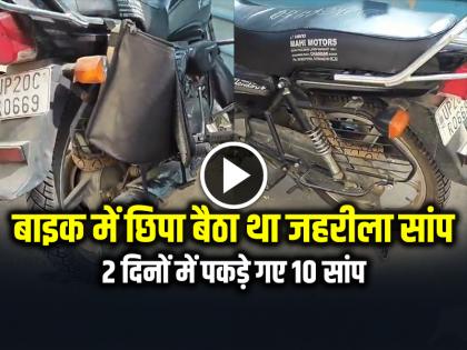 Snake was Hiding in Bike Parked in bijnor hospital watch video | VIRAL: बाइक में छिपा बैठा था जहरीला सांप, 2 दिनों में पकड़े गए 10 सांप, देखें वीडियो Snake was Hiding in Bike Parked in bijnor hospital watch video | VIRAL: बाइक में छिपा बैठा था जहरीला सांप, 2 दिनों में पकड़े गए 10 सांप, देखें वीडियो