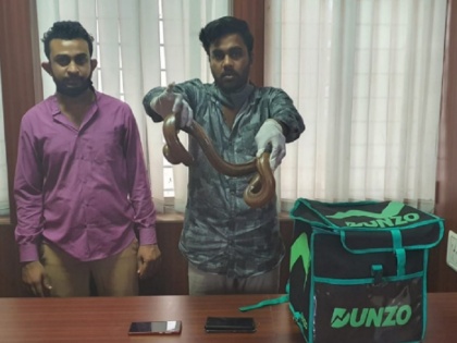 Karnataka: Central Crime Branch Bengaluru arrested 2 people trying to sell a two headed snake | दोमुंहा सांप बेचने की कोशिश करते दो युवक गिरफ्तार, ऑनलाइन डिलीवरी कंपनी के कर्मचारी बनकर आए थे