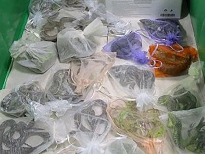 America person was carrying 52 live snakes hiding in clothes, gets arrested | कपड़ों में छिपाकर 52 जिंदा छिपकली और सांपों को ले जा रहा था शख्स, ऐसे हुआ गिरफ्तार America person was carrying 52 live snakes hiding in clothes, gets arrested | कपड़ों में छिपाकर 52 जिंदा छिपकली और सांपों को ले जा रहा था शख्स, ऐसे हुआ गिरफ्तार
