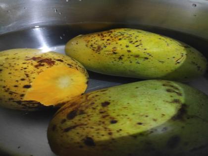 Soaked Mango Benefits Do not eat mangoes without soaking them in water know the disadvantages of eating mangoes like this | Soaked Mango Benefits: बिना पानी में भिगोए नहीं खाया कीजिए आम, बढ़ सकती है आपकी परेशानी, जानें ऐसे ही मैंगो खाने के नुकसान Soaked Mango Benefits Do not eat mangoes without soaking them in water know the disadvantages of eating mangoes like this | Soaked Mango Benefits: बिना पानी में भिगोए नहीं खाया कीजिए आम, बढ़ सकती है आपकी परेशानी, जानें ऐसे ही मैंगो खाने के नुकसान