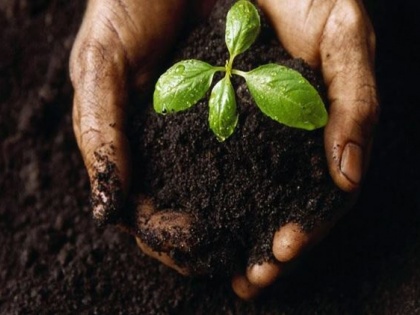 Soil Day is observed from 5 December 2013 taking care health stay healthy Naveen Jain's blog | मिट्टी की सेहत का ध्यान रखकर ही हम रह सकते हैं स्वस्थ, नवीन जैन का ब्लॉग