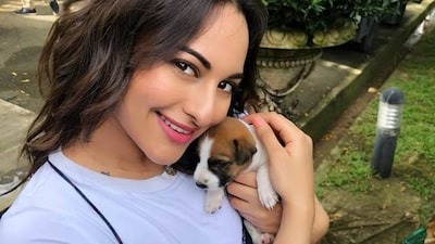 Sonakshi Sinha Vir Das, Janhvi Kapoor, Varun Dhawan and Varun Grover slams Supreme Court order remove stray dogs Everyday expose how soul-less we have become | Supreme Court order dogs: हम कितने भावशून्य हो गए, हर दिन निराशाजनक?, सुप्रीम कोर्ट निर्देश को लेकर वीर दास, जाह्नवी कपूर, वरुण धवन, वरुण ग्रोवर और सोनाक्षी सिन्हा दी प्रतिक्रिया