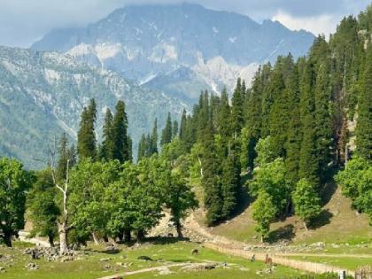 Jammu-Kashmir Tourists reached Sonamarg administration gets troubled by increasing crowd | Jammu-Kashmir: मैदान में बढ़ती गर्मी से सोनमर्ग पहुंचे पर्यटक, बढ़ती भीड़ से परेशान हुआ प्रशासन Jammu-Kashmir Tourists reached Sonamarg administration gets troubled by increasing crowd | Jammu-Kashmir: मैदान में बढ़ती गर्मी से सोनमर्ग पहुंचे पर्यटक, बढ़ती भीड़ से परेशान हुआ प्रशासन