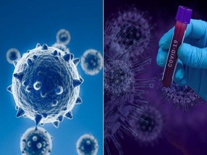covid strain Omicron latest update and news: Scientist Sikhulile Moyo warn Less known about virus but may be more contagious | ओमीक्रोन की पहचान करने वाले वैज्ञानिक मोयो की चेतावनी, वायरस के बारे में कम जानकारी लेकिन हो सकता है अधिक संक्रामक