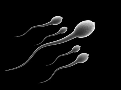 Male fertility Low Sperm Count How To Increase Sperm improve quality | Male fertility: इन आदतों से घट सकती है पुरुषों की प्रजनन क्षमता, स्पर्म काउंट हो जाता है कम, जानें