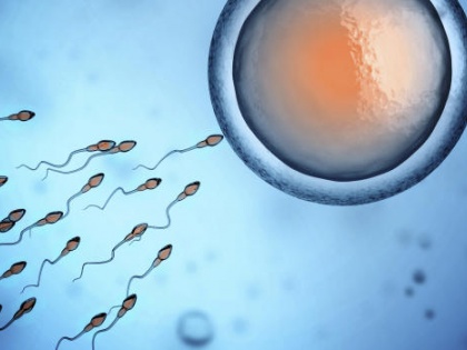 sperm and pregnancy: how much need sperm count for pregnancy, tips and foods to increased sperm count naturally | स्पर्म काउंट बढ़ाने के उपाय : प्रेगनेंसी के लिए स्पर्म काउंट कितना होता है, स्पर्म काउंट कैसे बढ़ाया जा सकता है ?
