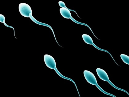 5 natural ways to increase sperm count | स्पर्म काउंट बढ़ाने के 5 नैचुरल उपाय