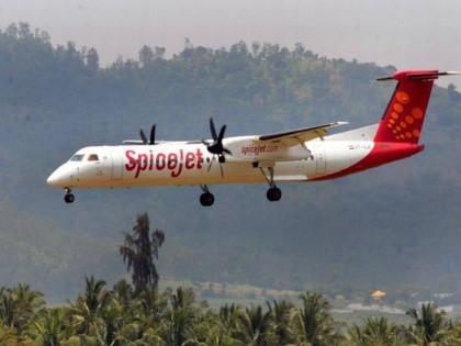 SpiceJet flight to Jabalpur returns to Delhi after crew notices smoke in the cabin | दिल्ली में जबलपुर जा रहे स्पाइसजेट विमान की कराई गई इमरजेंसी लैंडिंग, सभी यात्री सुरक्षित, देखें वीडियो