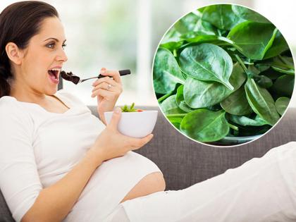 Know the benefits of eating spinach during pregnancy | गर्भावस्था में पालक खाने से मां और बच्चे को होते हैं ये 6 बड़े फायदे