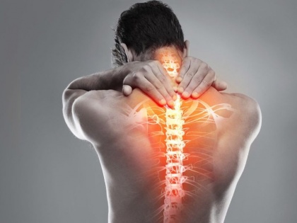 how to make spinal cord strong: foods for healthy and strong spinal cord, home remedies and ways to keep spine healthy and strong in Hindi, calcium rich foods for strong spinal code | रीढ़ की हड्डी को मजबूत कैसे करें : रीढ़ की हड्डी को मजबूत और स्वस्थ बनाने के लिए खाएं ये 8 चीजें
