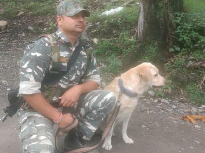 Landslide on Jammu-Srinagar Highway, Caripub's Patrol Dog Squad saved the life of a man buried in the rubble | जम्मू-श्रीनगर हाइवे पर भूस्खलन, केरिपुब के गश्ती डाग स्क्वाड ने मलबे में दबे व्यक्ति की जान बचाई Landslide on Jammu-Srinagar Highway, Caripub's Patrol Dog Squad saved the life of a man buried in the rubble | जम्मू-श्रीनगर हाइवे पर भूस्खलन, केरिपुब के गश्ती डाग स्क्वाड ने मलबे में दबे व्यक्ति की जान बचाई