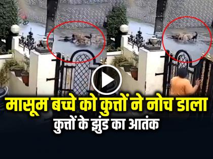 Stray Dog Attack 8 Year Child in Udaipur Rajasthan | VIRAL: कुत्तों के झुंड का आतंक, 8 साल के बच्चे को नोच डाला, देखें वायरल वीडियो