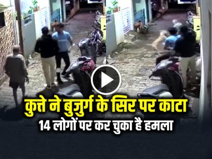 Stray Dog Attack Elderly Man Face in Maharashtra Chhatrapati Sambhajinagar Video viral | VIDEO: कुत्ते ने बुजुर्ग के सिर पर काटा, 14 लोगों पर कर चुका है हमला, देखें वीडियो