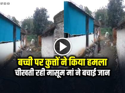 Stray Dog Attack Girl in Pune Video Goes Viral | Dog Attack: बच्ची पर कुत्तों ने किया हमला, चीखती रही मासूम मां ने बचाई जान, देखें वीडियो