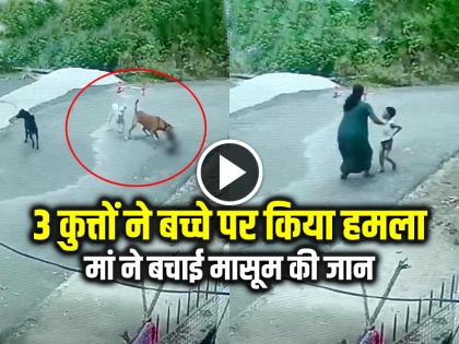 Stray Dogs Attack 5 Year Old Child in udaipur rajasthan Watch video | 3 कुत्तों ने बच्चे पर किया जानलेवा हमला, घर के बाहर खेल रहा था मासूम, देखें वीडियो Stray Dogs Attack 5 Year Old Child in udaipur rajasthan Watch video | 3 कुत्तों ने बच्चे पर किया जानलेवा हमला, घर के बाहर खेल रहा था मासूम, देखें वीडियो