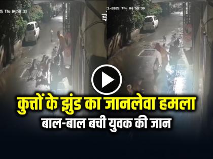 Stray Dogs Attack a Man in Pune Watch Video Cctv Footage viral | VIDEO: आवारा कुत्तों के झुंड का युवक पर जानलेवा हमला, बाल-बाल बची जान, देखें वायरल वीडियो