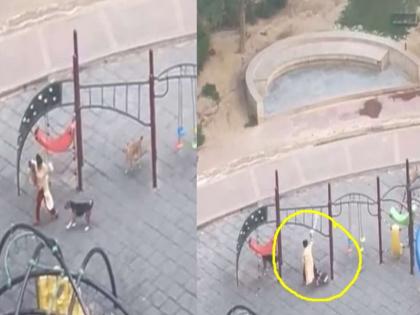 Stray dogs attacked a woman who went on a walk with a pet dog in up noida Sector-78 watch video | यूपी: पालतू डॉगी संग वॉक पर गई महिला को आवारा कुत्तों ने दौड़ा-दौड़ा कर किया हमला, भागती रही पीड़िता फिर भी पीछा करना नहीं छोड़े कुत्ते, देखें वीडियो Stray dogs attacked a woman who went on a walk with a pet dog in up noida Sector-78 watch video | यूपी: पालतू डॉगी संग वॉक पर गई महिला को आवारा कुत्तों ने दौड़ा-दौड़ा कर किया हमला, भागती रही पीड़िता फिर भी पीछा करना नहीं छोड़े कुत्ते, देखें वीडियो