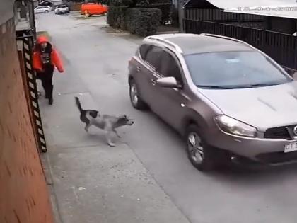 street dog help girl to not kidnap by kidnappers see viral video | Video: सड़क पर अकेली जा रही लड़की का मददगार बना कुत्ता, अपहरणकर्ताओं को नहीं होने दिया कामयाब, देखें वीडियो