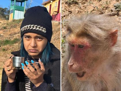'इमली' फेम एक्ट्रेस सुंबुल तौकीर खान पर बंदर ने किया हमला, फोटो शेयर कर दी जानकारी