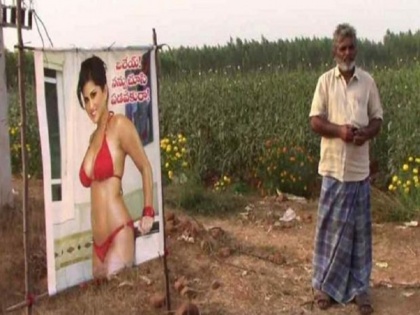 Andhra Pradesh farmer puts sunny leone red bikini poster to save crop viral news | रेड बिकिनी में खड़ी सनी लियोनी का पोस्टर कर रहा है किसान के खेत की रखवाली, जानें क्या है पूरा माजरा