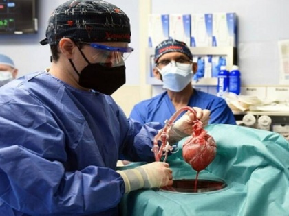 pig heart transplant in US, Assam doctor says had done this 24 years ago | इंसान के शरीर में सूअर का दिल, असम के डॉक्टर ने कहा- जो अमेरिका ने किया, उसे वे 24 साल पहले कर चुके थे