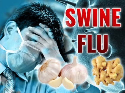 Swine Flu Claims 250 Lives in India : causes, symptoms, signs, home remedies, treatment, natural remedies | Swine Flu से देश में 40 दिनों में 250 मौत, 3 आदतें बढ़ाती हैं H1N1 का खतरा, 3 असरदार घरेलू नुस्खे बचाएंगे जान