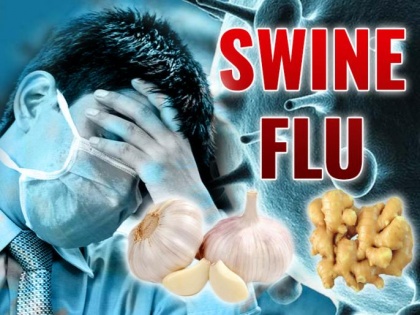 Swine flu death toll rises to 57 in Indore, causes, sign, symptoms, treatment, prevention and home remedies for H1N1 | Swine Flu से इंदौर में 100 दिनों में 57 मौत, ये 3 चीजें H1N1 वायरस को कर सकती हैं जड़ से खत्म
